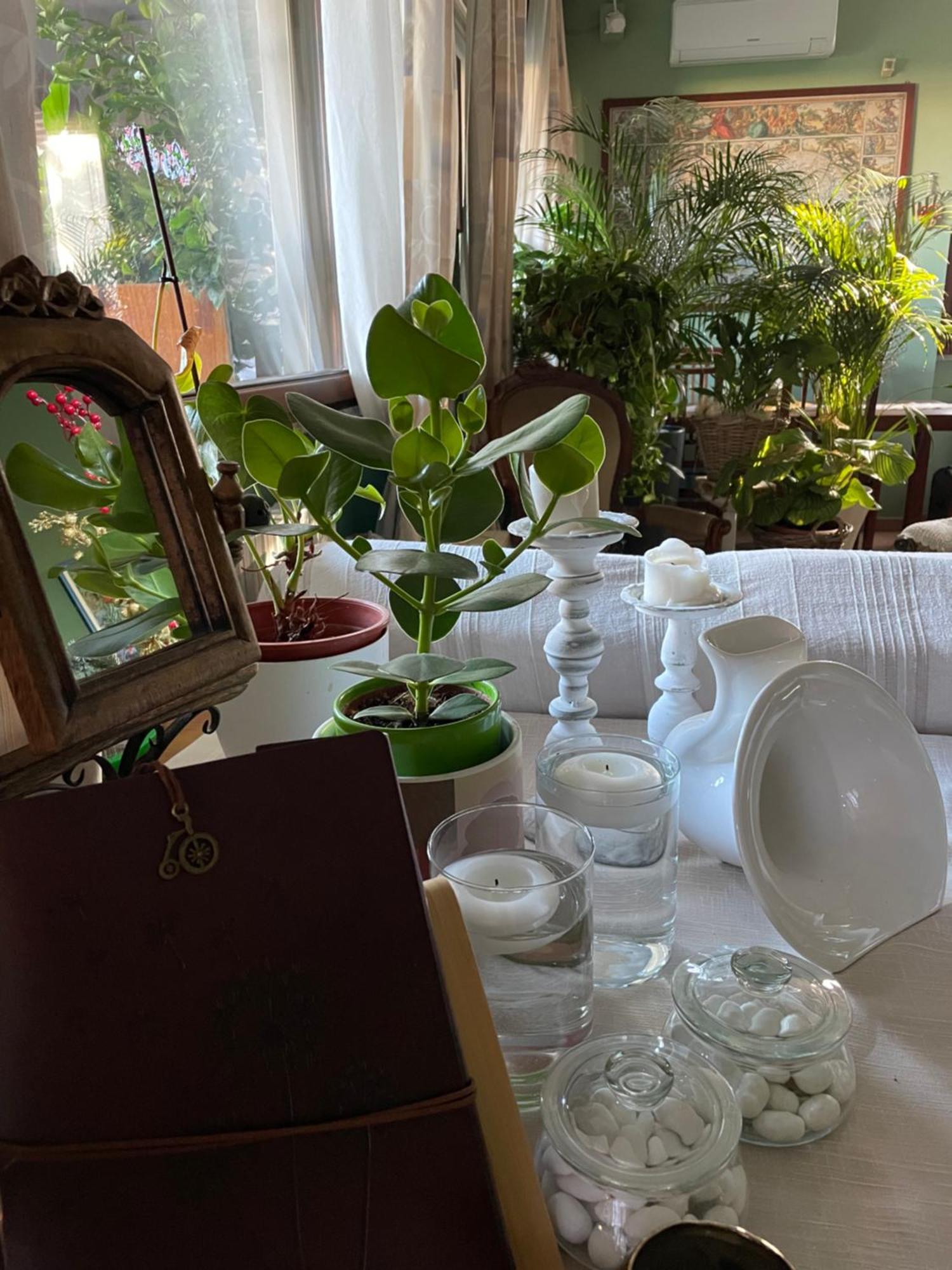 Il Giardino Di Emilia - Intero Appartamento In Villa Con Giardino Privato E Piscina Estiva Pontirolo Nuovo エクステリア 写真
